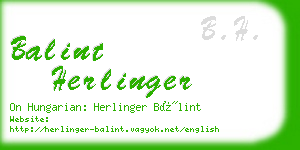 balint herlinger business card